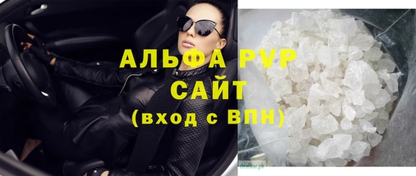 прущие грибы Баксан