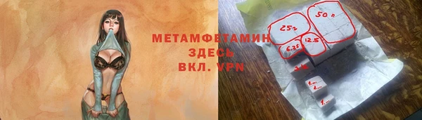 прущие грибы Баксан