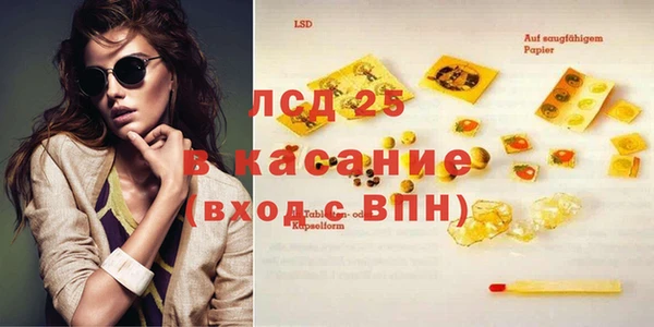 прущие грибы Баксан
