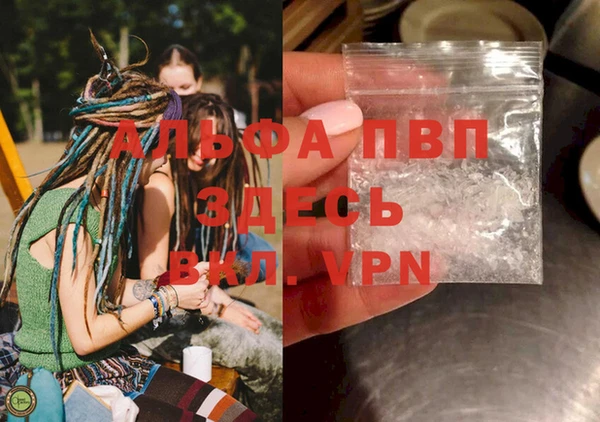 прущие грибы Баксан