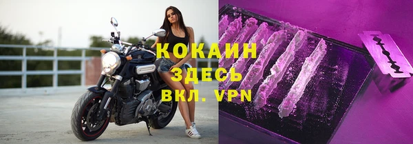 прущие грибы Баксан