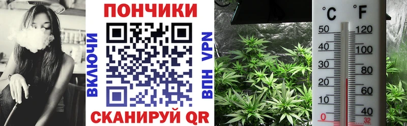 Бошки Шишки Ganja Лебедянь