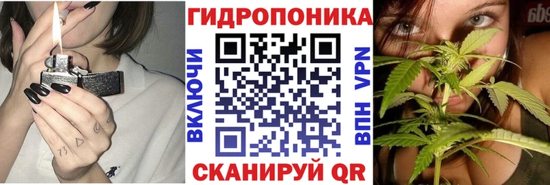 Канабис сатива  Купить где  Лебедянь 